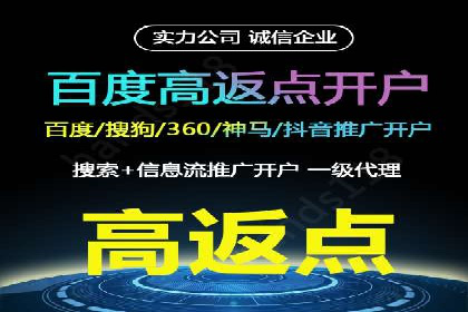 百度SEM广告策略在电商行业的成功案例